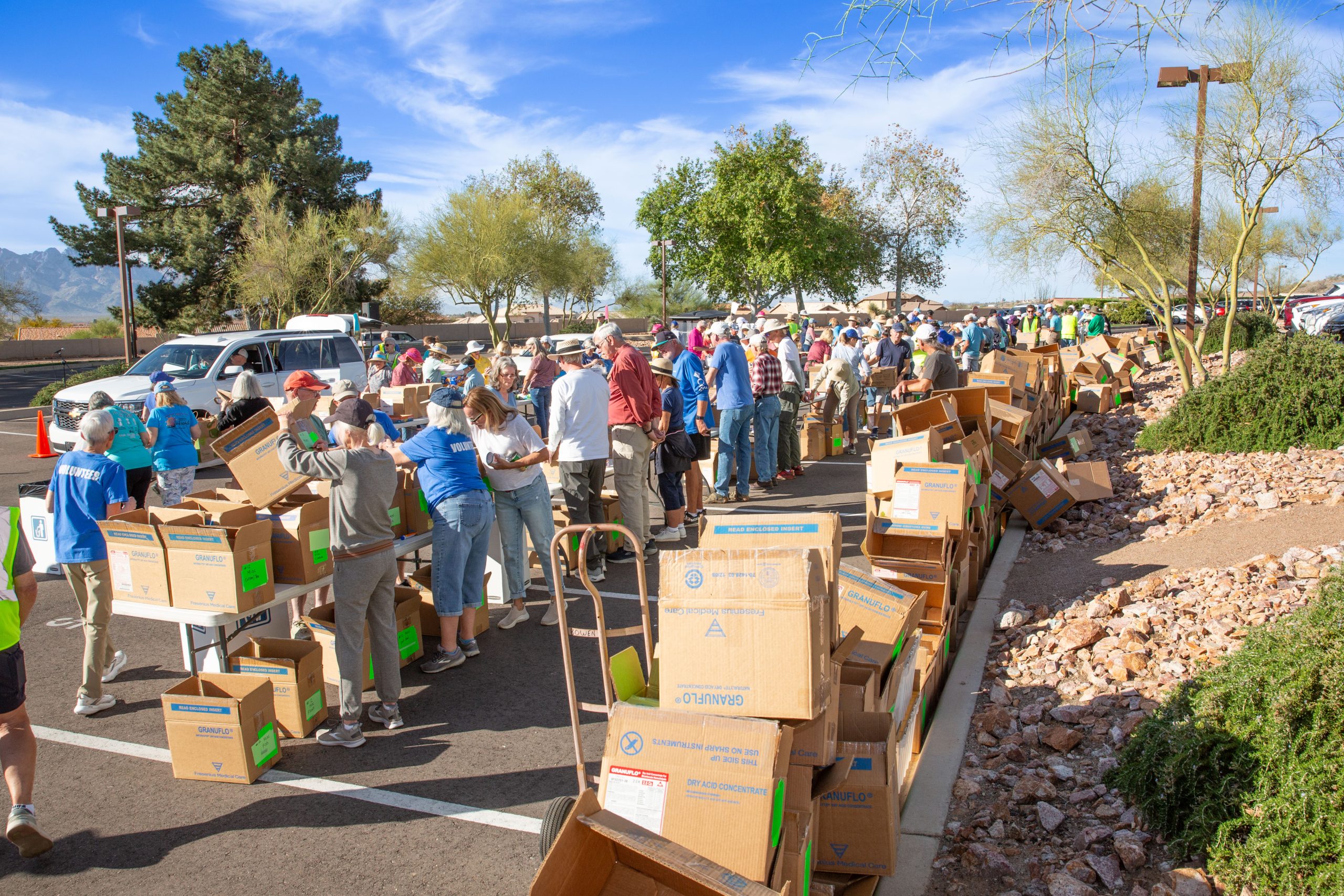 Volunteers lined up in the parking lot sorting food into large boxes.