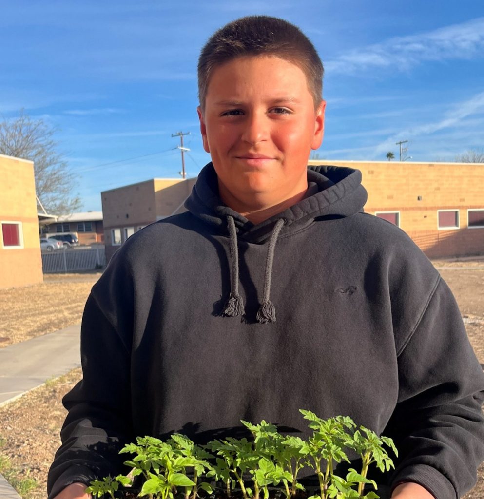 Agriscience student holds plant seedlings.