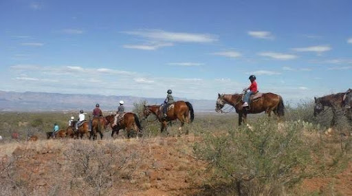 around 10 Children ride horses in a line around Triangle Y ranch